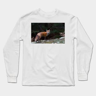 Red Fox - Algonquin Park, Canada Long Sleeve T-Shirt